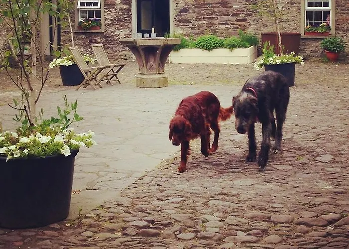 Ballintaggart House Dingle
