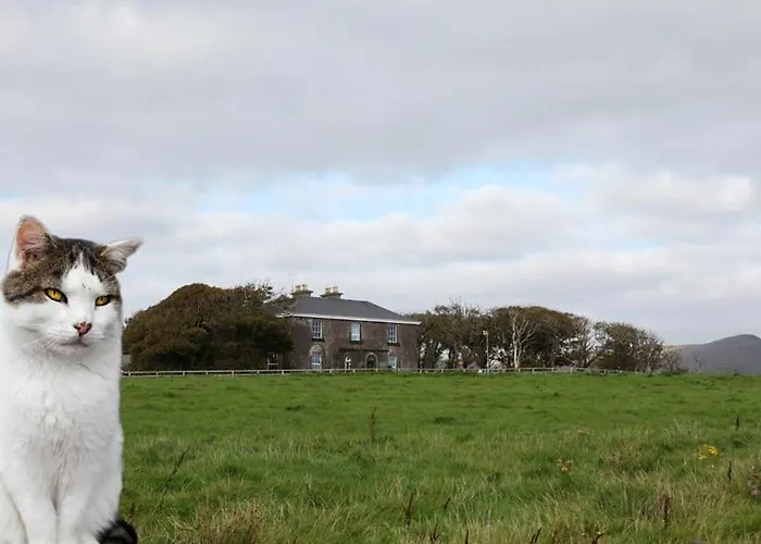 Ballintaggart House Летний дом *